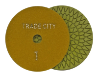 Алмазные гибкие шлифовальные круги Цветочек Pads 4-STEP D100 №1